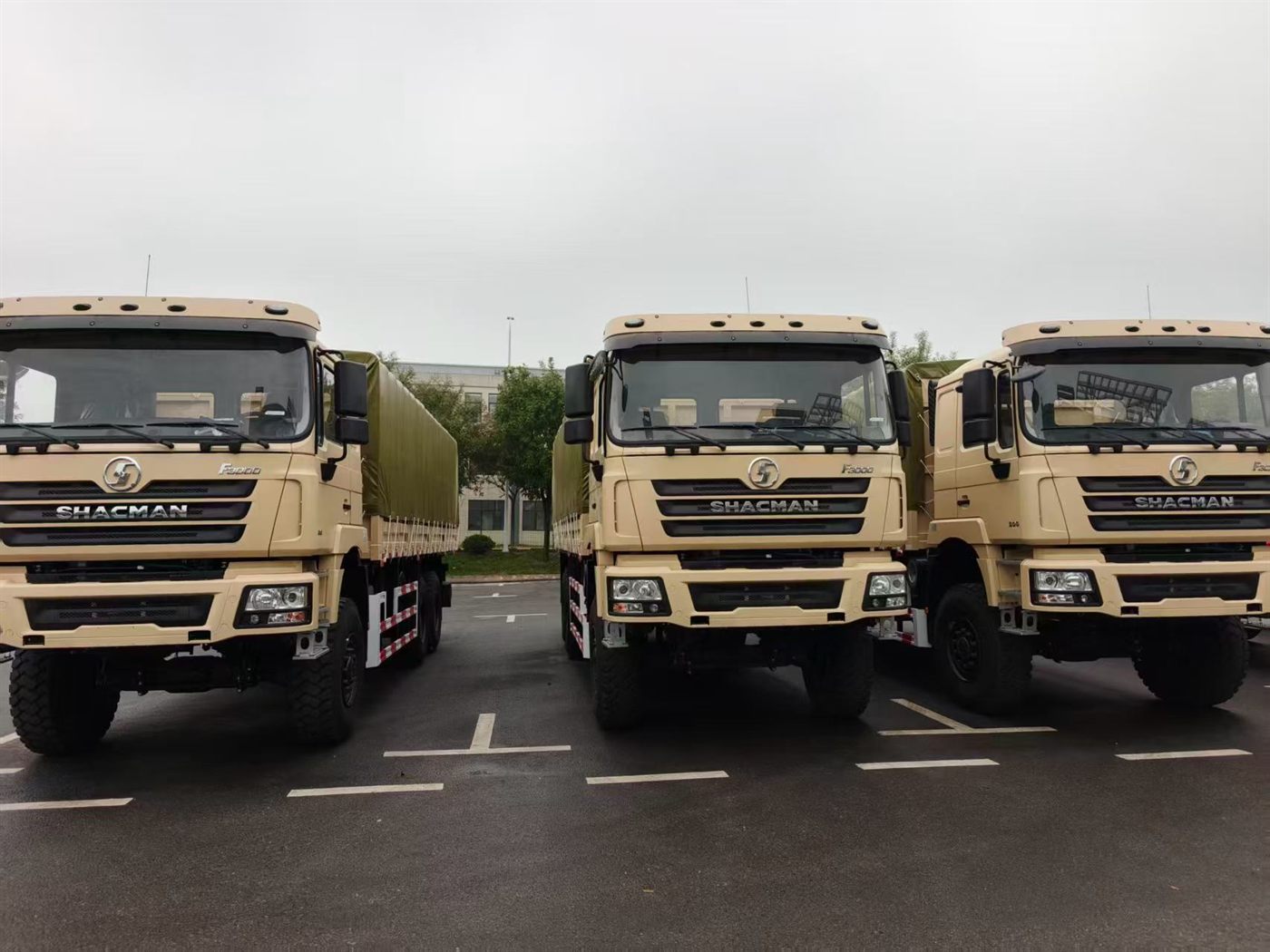 SHACMAN F3000 6x6 cargo truck with tarpaulin body for rough road export