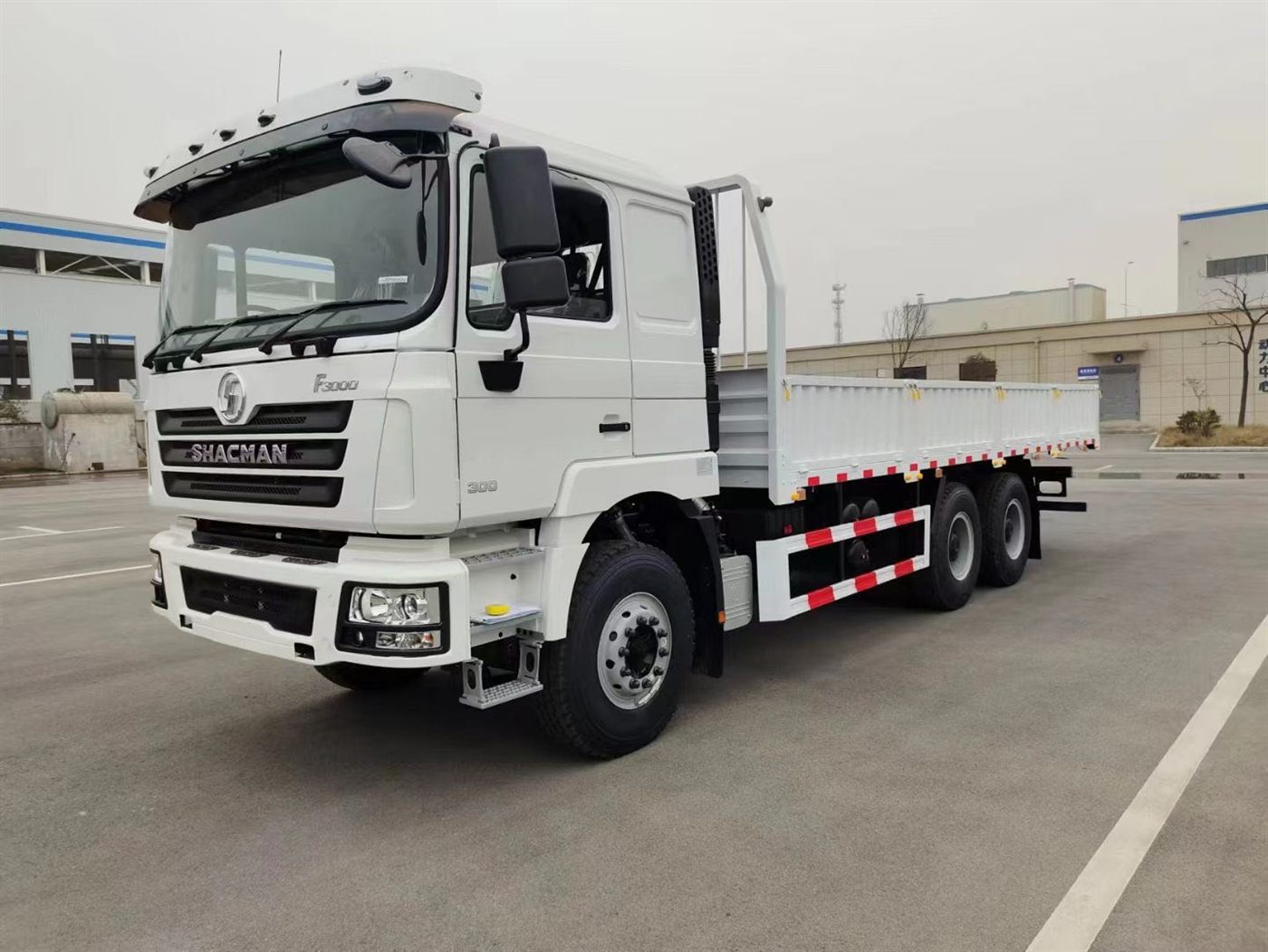 SHACMAN F3000 6x4 cargo lorry truck export configuration